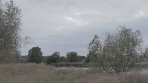 Naturligt Höstlandskap Det Hemsk Dag Vädret Före Regnet — Stockvideo