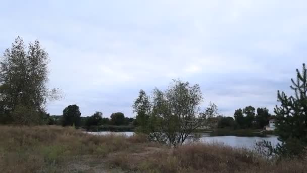 Natuurlijk Herfstlandschap Het Een Nare Dag Het Weer Voor Regen — Stockvideo