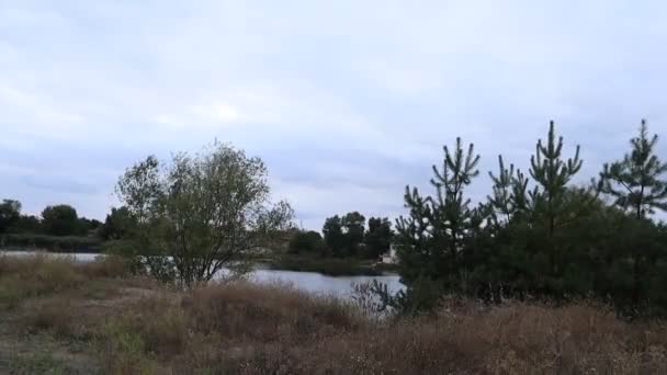paysage naturel d'automne. C'est une sale journée. le temps avant la pluie .