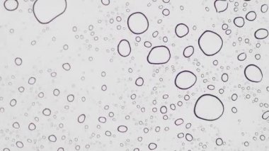 Cam zaman diliminde yağmur damlaları. Sonbahar yağmuru. büyük damlalar.