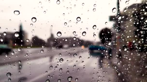 Raindrops Glass Timelapse Autumn Rain Big Drops — Stock Video