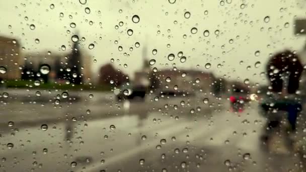 Gotas Chuva Vidro Timelapse Chuva Outono Grandes Gotas — Vídeo de Stock