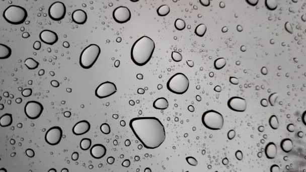 슬로우 비디오에 방울을 립니다 빗방울 — 비디오