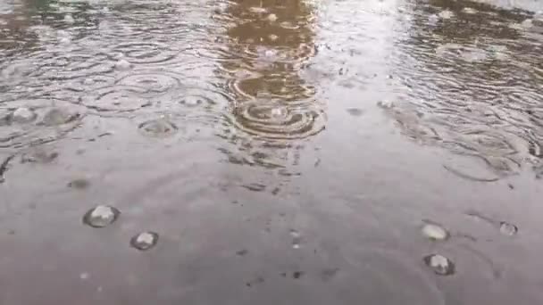 Gotas Chuva Uma Poça Vídeo Câmera Lenta — Vídeo de Stock