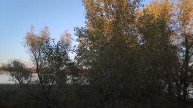 Nehirli siyah bir manzara. Akşamları sonbahar manzarası.