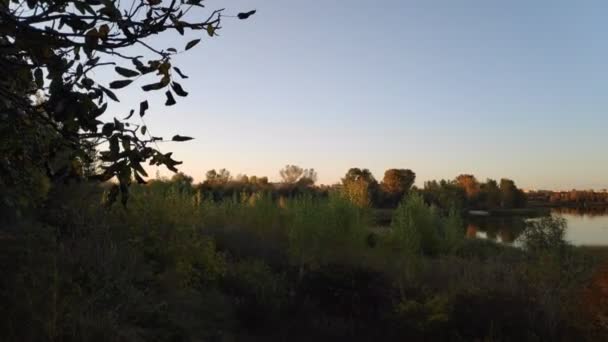 Svart Landskap Med Flod Höstlandskap Kvällen — Stockvideo