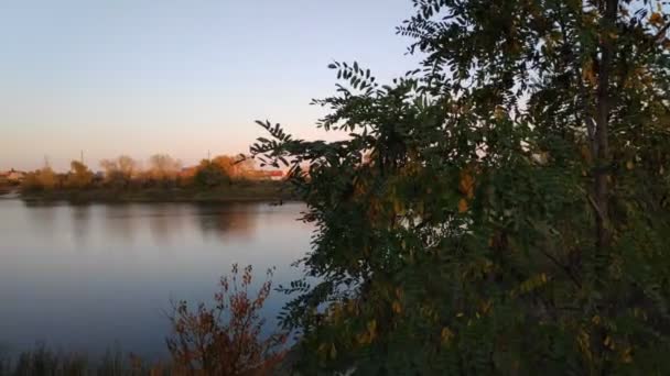 Black Landscape River Autumn Landscape Evening — Stock Video