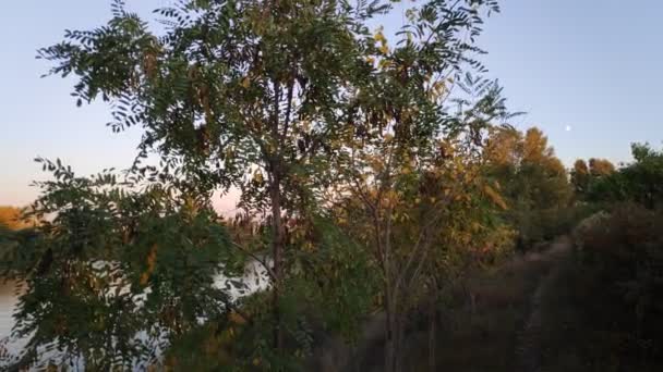 Μαύρο Τοπίο Ένα Ποτάμι Φθινόπωρο Τοπίο Βράδυ — Αρχείο Βίντεο