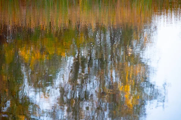 Отражение Воде Осенние Деревья Отражаются Воде — стоковое фото