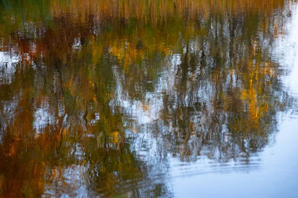 Réflexion Dans Eau Les Arbres Automne Reflètent Dans Eau — Photo