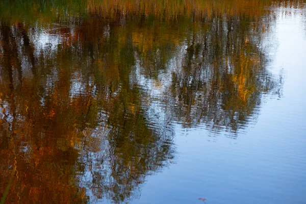 Reflexión Agua Árboles Otoñales Reflejan Agua — Foto de Stock