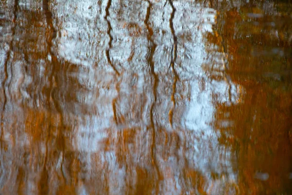 Reflection Water Autumn Trees Reflected Water — Stock Photo, Image