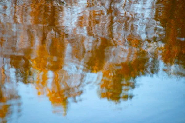 Αντανάκλαση Στο Νερό Φθινοπωρινά Δέντρα Αντανακλώνται Στο Νερό — Φωτογραφία Αρχείου