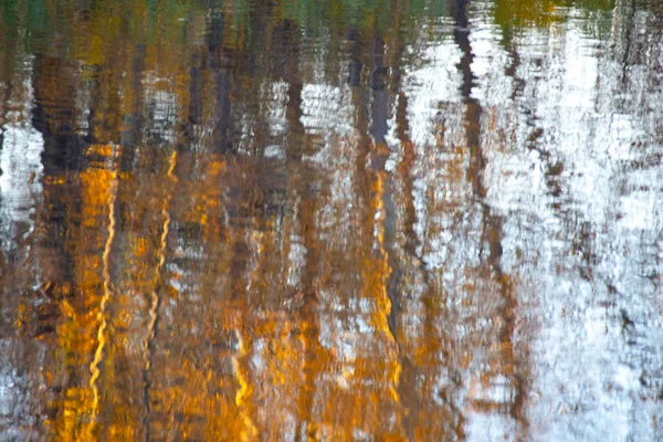 Reflexão Água Árvores Outono São Refletidas Água — Fotografia de Stock