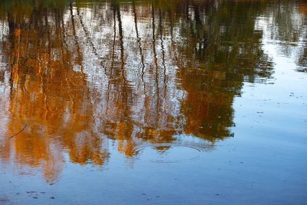 Odraz Vodě Podzimní Stromy Odrážejí Vodě — Stock fotografie