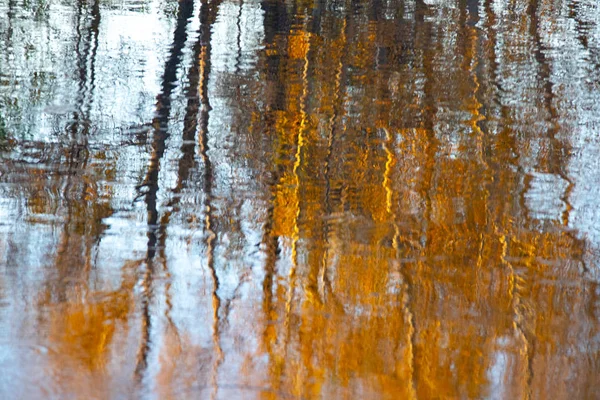 Odraz Vodě Podzimní Stromy Odrážejí Vodě — Stock fotografie
