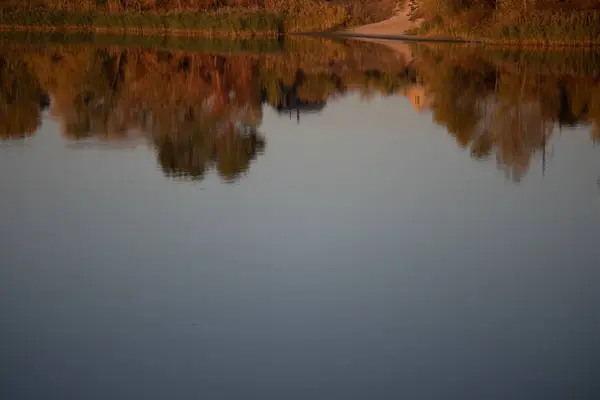 Reflexion Wasser Herbstbäume Spiegeln Sich Wasser — Stockfoto