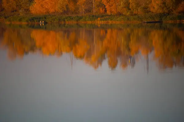 Reflexão Água Árvores Outono São Refletidas Água — Fotografia de Stock