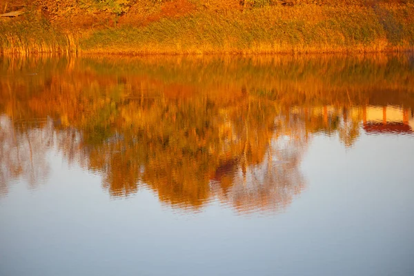 Reflektion Vatten Höstträd Reflekteras Vattnet — Stockfoto