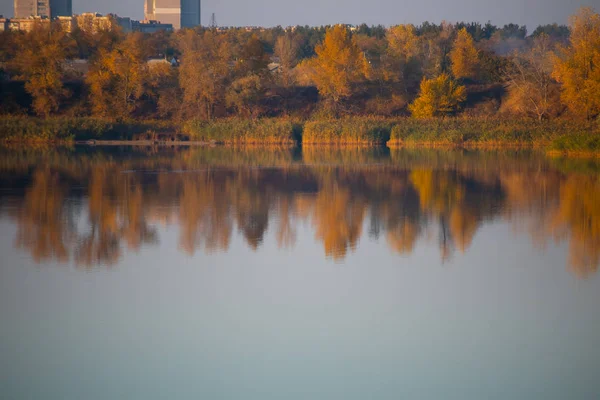 美しい秋の風景秋の木々が水面に映る — ストック写真