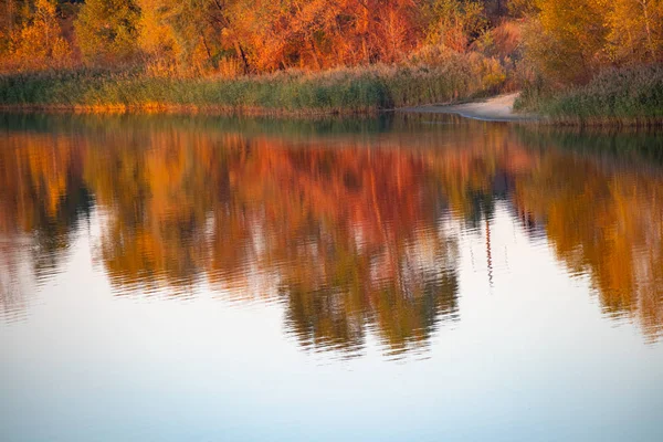 Prachtig Herfstlandschap Herfstbomen Worden Weerspiegeld Het Water — Stockfoto