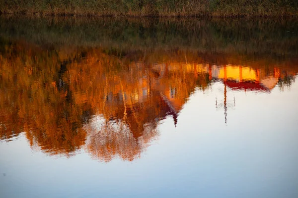 Réflexion Dans Eau Les Arbres Automne Reflètent Dans Eau — Photo