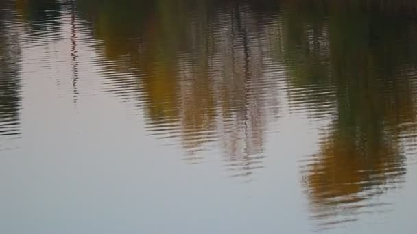 Reflexion Der Bäume Wasser Wellen Wasser Helles Spiegelbild Fluss — Stockvideo