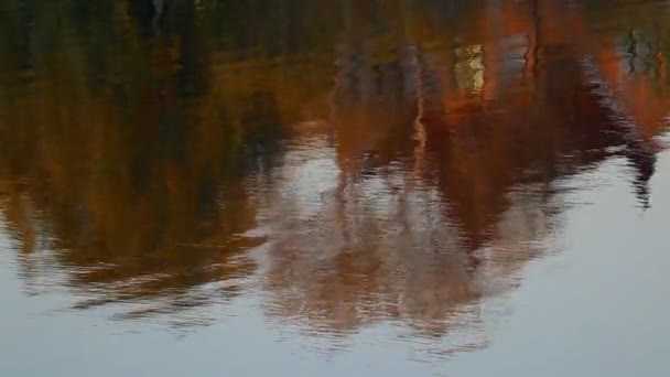 Відображення Дерев Воді Брижі Воді Яскраве Відображення Річці — стокове відео