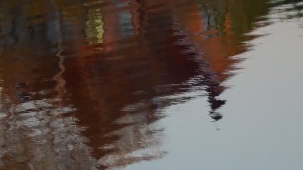 Reflexão Árvores Água Ondulações Água Reflexão Brilhante Rio — Vídeo de Stock