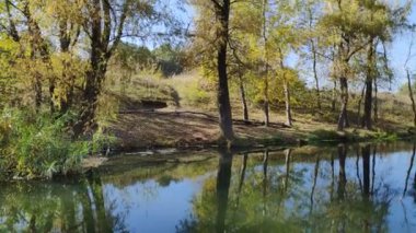 Suda yansıması olan güzel bir manzara. Dar nehir. Nehirdeki ağaçların yansıması.