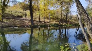 Suda yansıması olan güzel bir manzara. Dar nehir. Nehirdeki ağaçların yansıması.