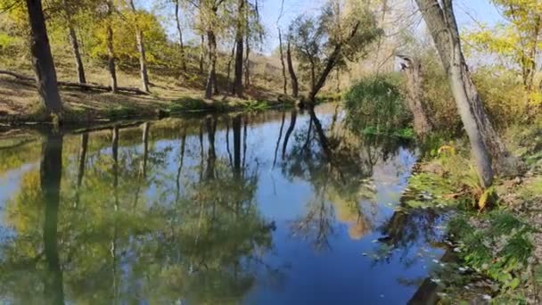 Красивий Пейзаж Відображенням Воді Вузька Річка Відображення Дерев Річці — стокове відео