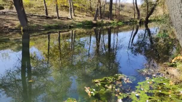 Vackert Landskap Med Spegelbild Vattnet Smal Flod Återspegling Träd Floden — Stockvideo