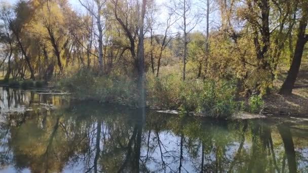 水面に映る美しい風景 狭い川だ川の木々の反射は — ストック動画