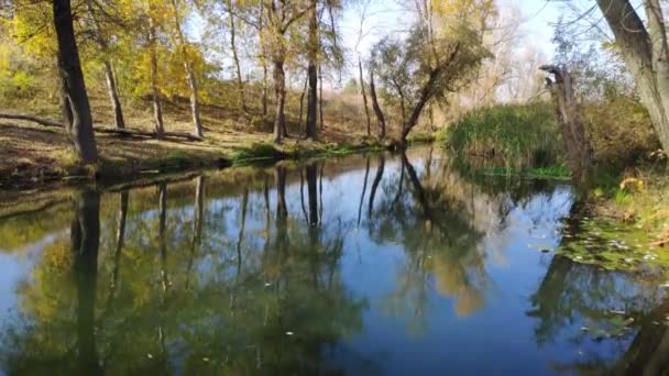Όμορφο Τοπίο Αντανάκλαση Στο Νερό Στενό Ποτάμι Αντανάκλαση Των Δέντρων — Αρχείο Βίντεο