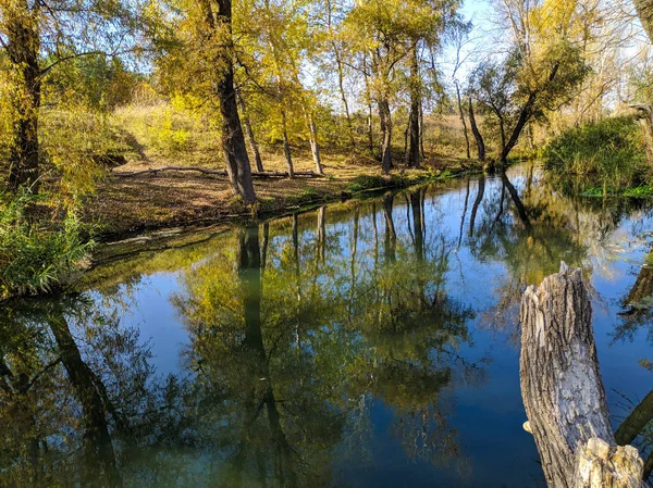 Autumn Landscape River Reflection Trees Water — Stock Photo, Image