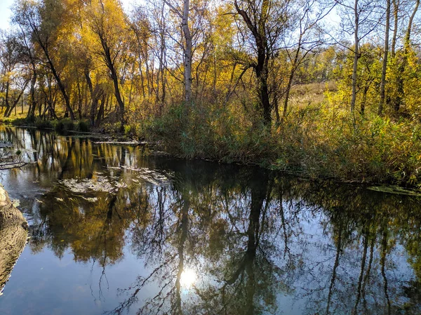 Autumn Landscape River Reflection Trees Water — Stock Photo, Image