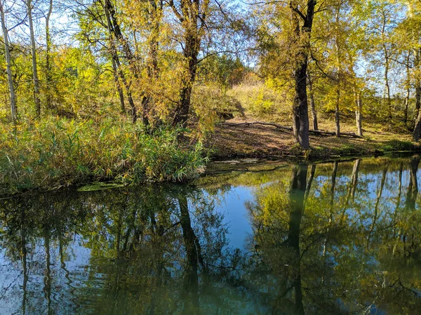 川と秋の風景 水の中の木の反射は — ストック写真