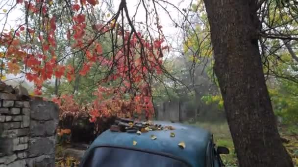 Viejo Auto Época Coche Oxidado Roto — Vídeo de stock