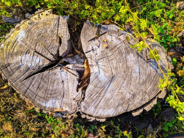 Çok katlı binayı yıktı. Terk edilmiş ev