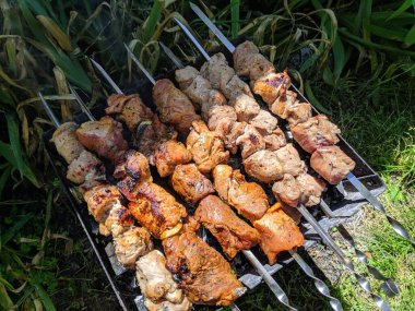 ateşte et pişirmek. Lezzetli kebap.