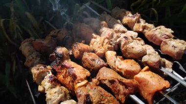 ateşte et pişirmek. Lezzetli kebap.