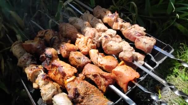 Cooking Meat Fire Beautiful Delicious Kebab — Stock Video