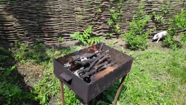 Fogo Churrasco Belo Fogo Lenha Está Queimando — Vídeo de Stock