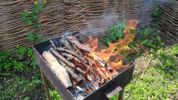 バーベキューの火だ いい火だ 薪が燃えてる — ストック動画
