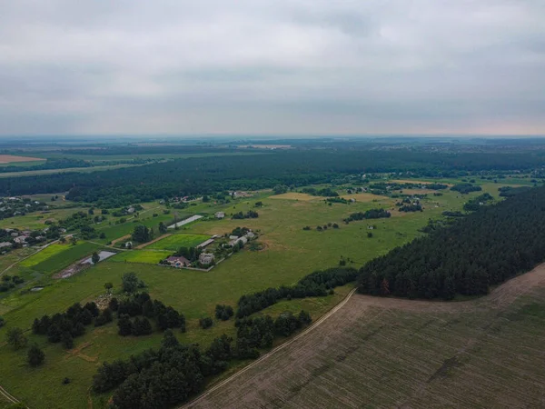 Overcast Landscape Heights Drone Fields Forests — Stock Photo, Image