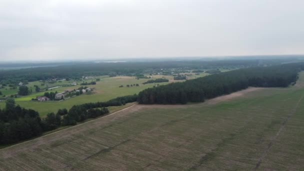 Paisagem Nublada Alturas Drone Campos Florestas Cima — Vídeo de Stock