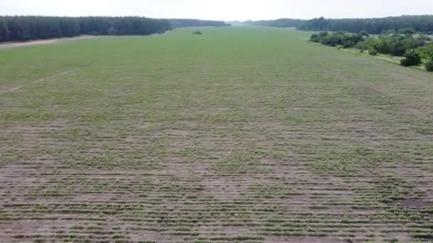 paysage couvert de hauteurs. du drone. champs et forêts d'en haut