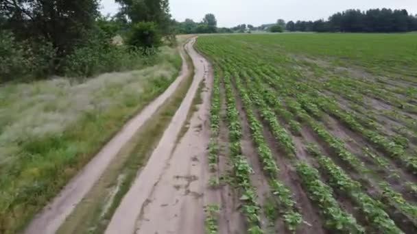 Bedekt Landschap Van Hoogten Van Drone Velden Bossen Van Bovenaf — Stockvideo