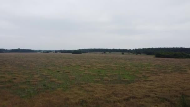 Bedekt Landschap Van Hoogten Van Drone Velden Bossen Van Bovenaf — Stockvideo